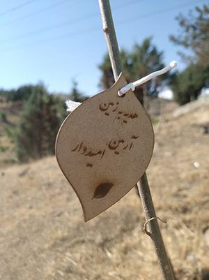 کاشت درخت با پلاک اسم در کمپین درختکاری ایران سبز