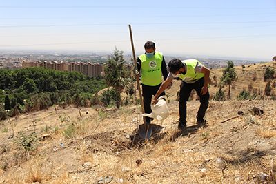 کمپین درختکاری اردیبهشت 1400