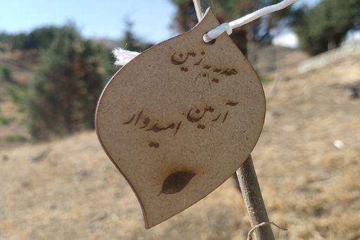 کاشت درخت برای تولد نوزاد و ثبت نهال شناسنامه‌دار به نام فرزند